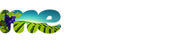 Medias Logo