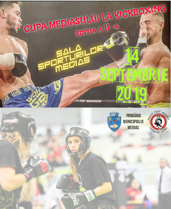 Kickboxing Cup